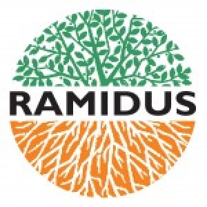Ramidus Consulting